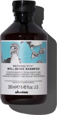 Шампунь для волос Davines Well Being Shampoo 250 мл